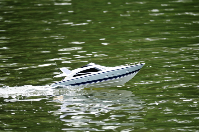 DSC_7941 (2).jpg