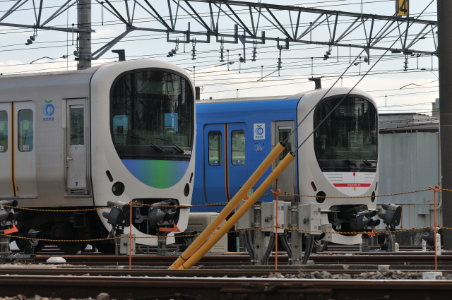 DSC_7967 (2)_00001.jpg