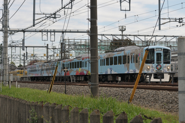 DSC_7977 (2)_00001.jpg