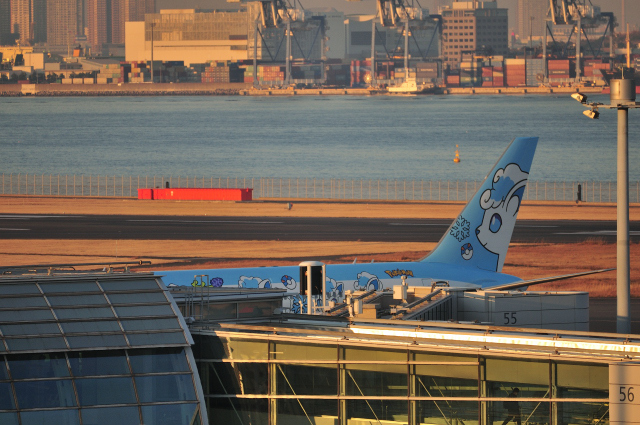 DSC_7994 (2)_00002.jpg