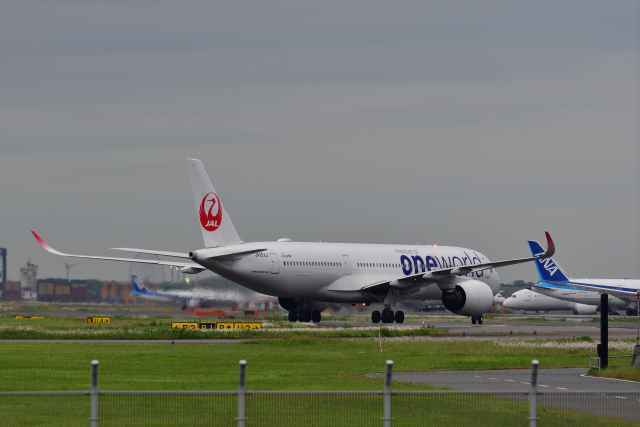 DSC_8030_001.JPG
