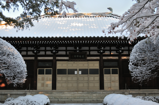DSC_8034 (2)_00002.jpg