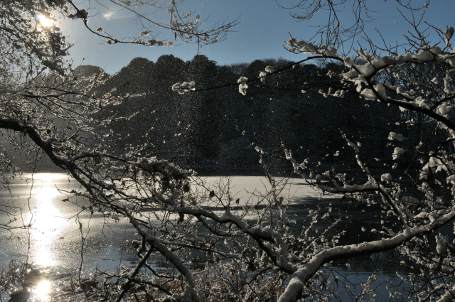 DSC_8091 (2)_00002.jpg