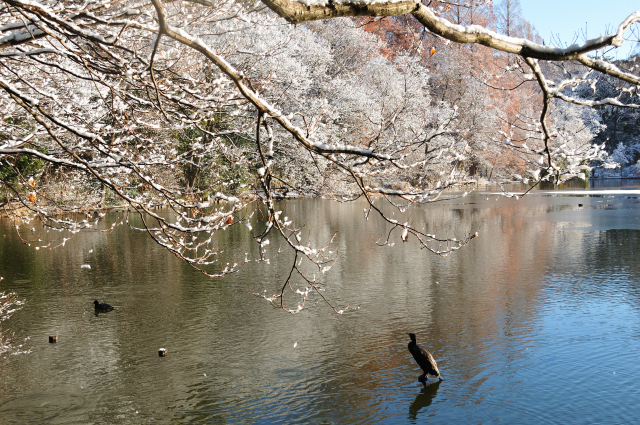 DSC_8093 (2)_00002.jpg
