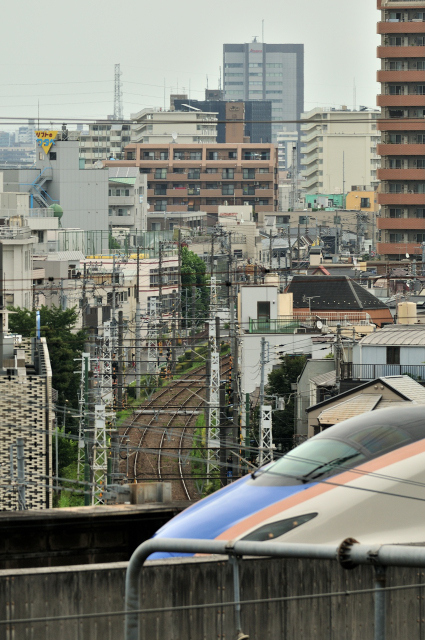 DSC_8182_001.JPG