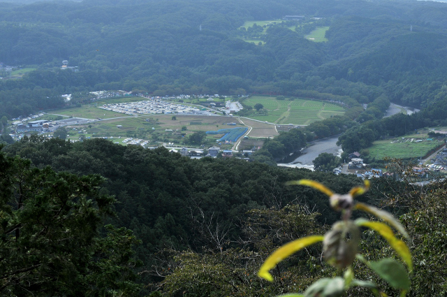 DSC_8202_1_706.JPG