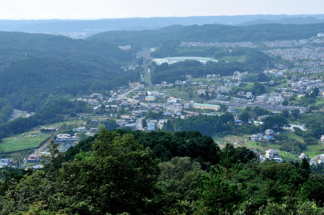 DSC_8222_1_708.JPG
