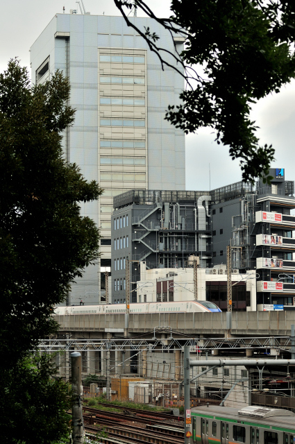 DSC_8245_001.JPG