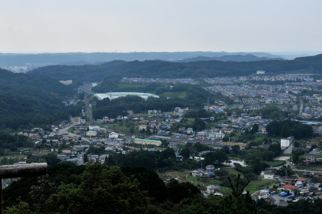 DSC_8253_1_709.JPG