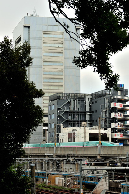 DSC_8288_001.JPG