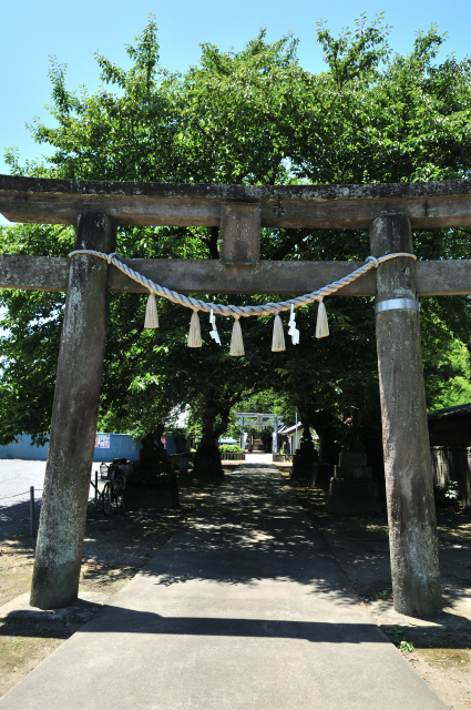 DSC_8343_001.JPG