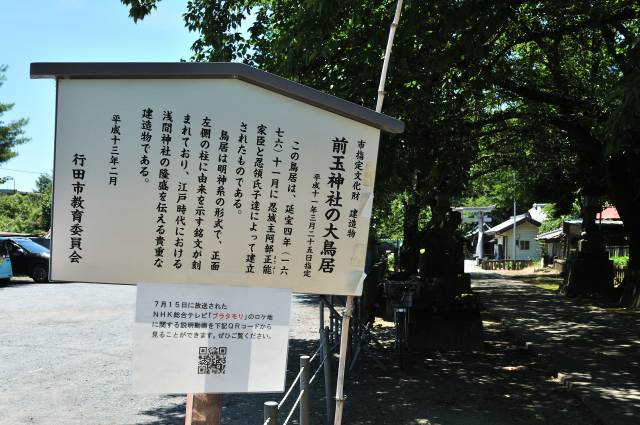 DSC_8344_001.JPG