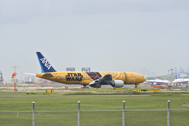 DSC_8383_001.JPG