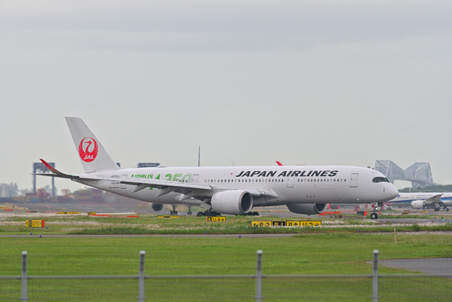DSC_8436_001.JPG