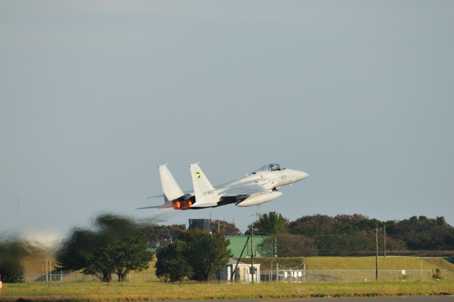 DSC_8487 (2)_00001.jpg