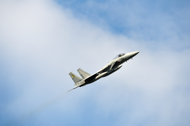 DSC_8496 (2)_00001.jpg