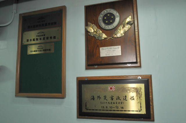 DSC_8510_001.JPG