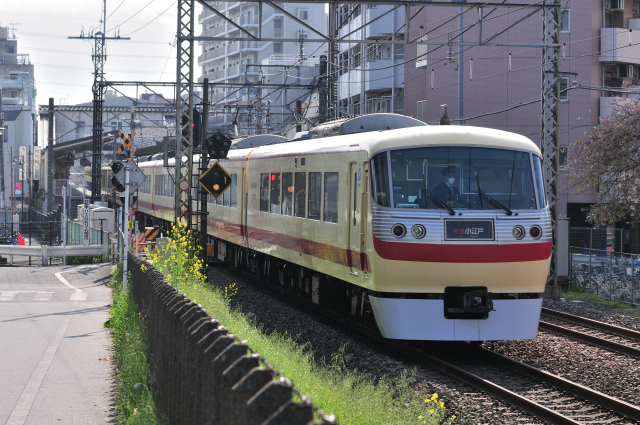 DSC_8588 (2)_00001.jpg
