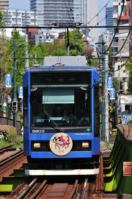 DSC_8672 (2)_00001.jpg