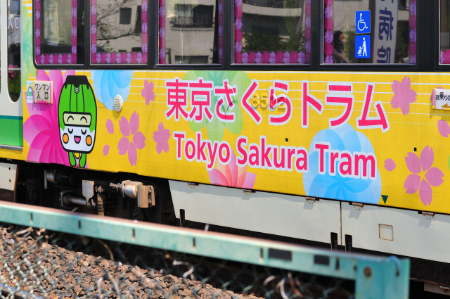 DSC_8694 (2)_00001.jpg
