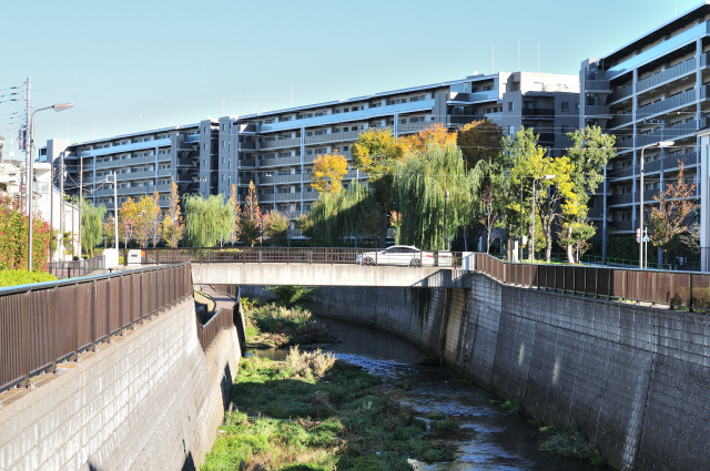 DSC_8869_001.JPG