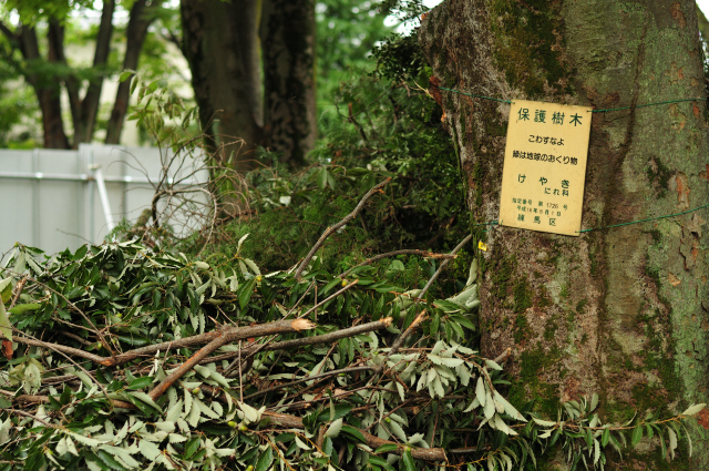DSC_8908 (2)_00001.jpg