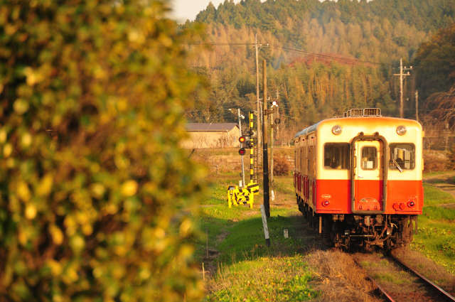DSC_8946 (2)_00001.jpg