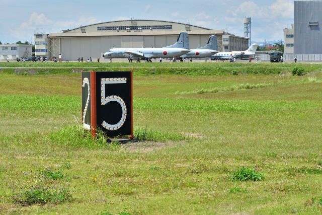 DSC_8982_001.JPG