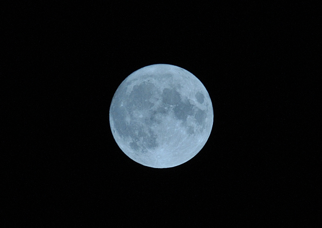 DSC_9100 (2)_00001.jpg