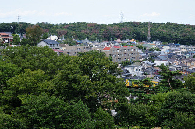 DSC_9247 (2)_00001.jpg