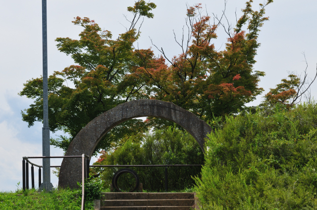 DSC_9273 (2)_00001.jpg