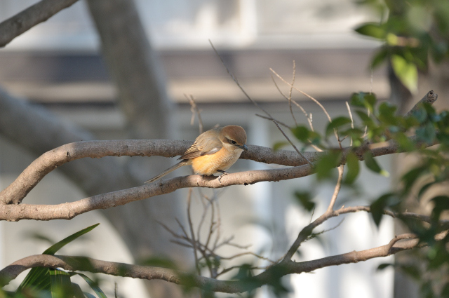 DSC_9280 (2)_00002.jpg