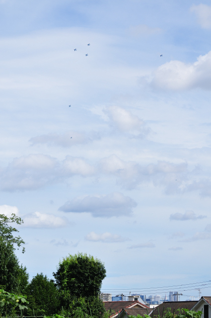 DSC_9452 (2)_00001.jpg