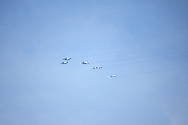 DSC_9461 (2)_00001.jpg