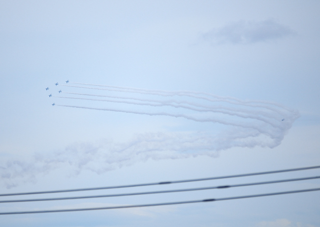 DSC_9479 (2)_00001.jpg