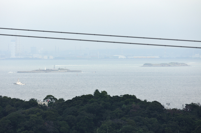 DSC_9617 (2)_00001.jpg