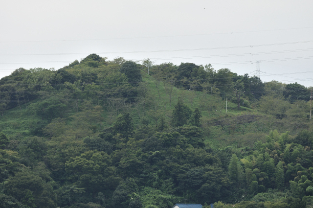 DSC_9624 (2)_00001.jpg