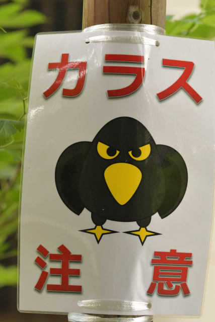 DSC_9693_001.JPG