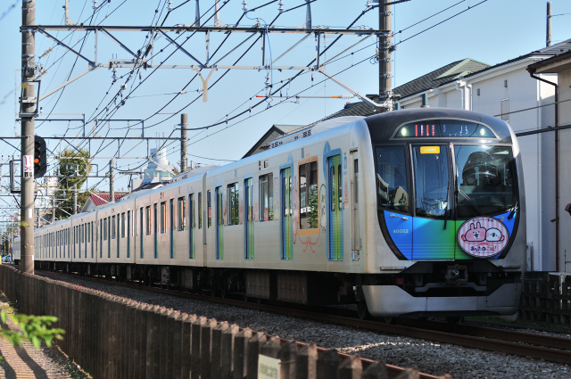 DSC_9797 (2)_00001.jpg