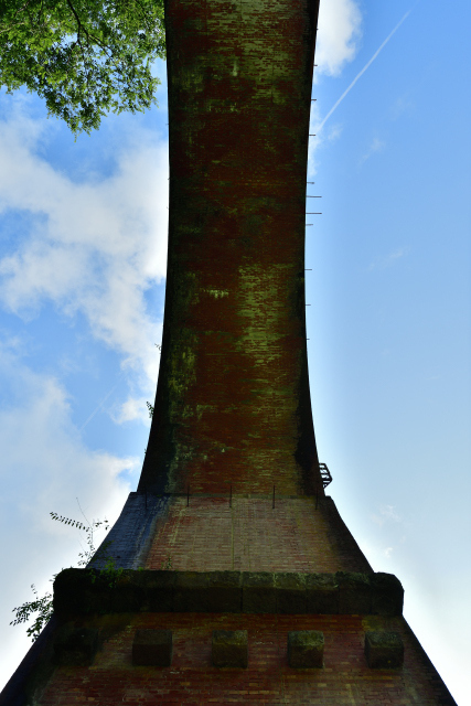 DSC_9894_001.JPG