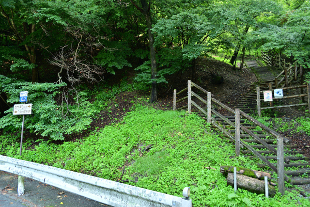DSC_9905_001.JPG