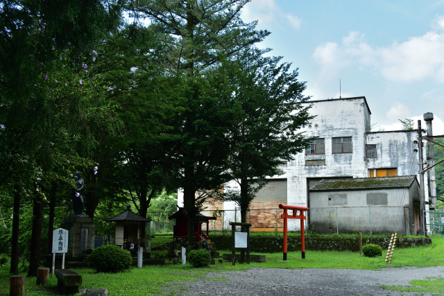 DSC_9915_001.JPG