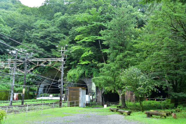 DSC_9918_001.JPG