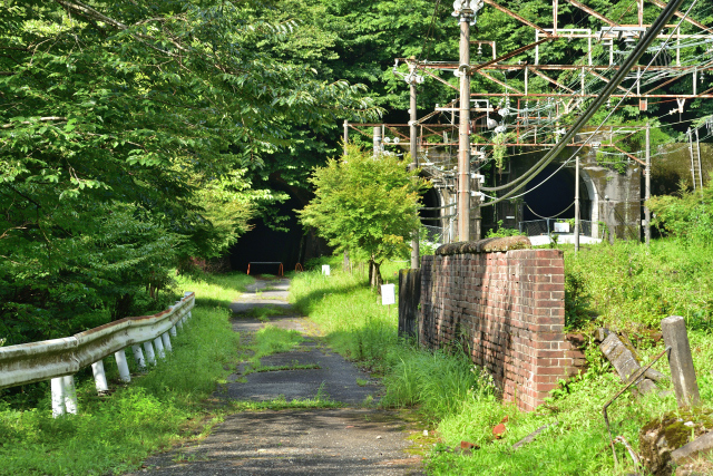 DSC_9935_001.JPG