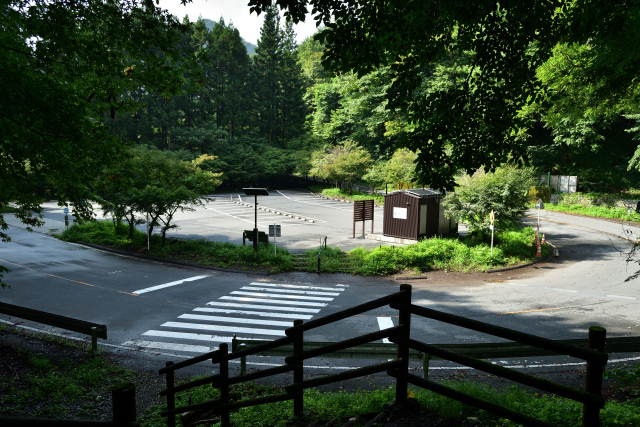 DSC_9938_001.JPG