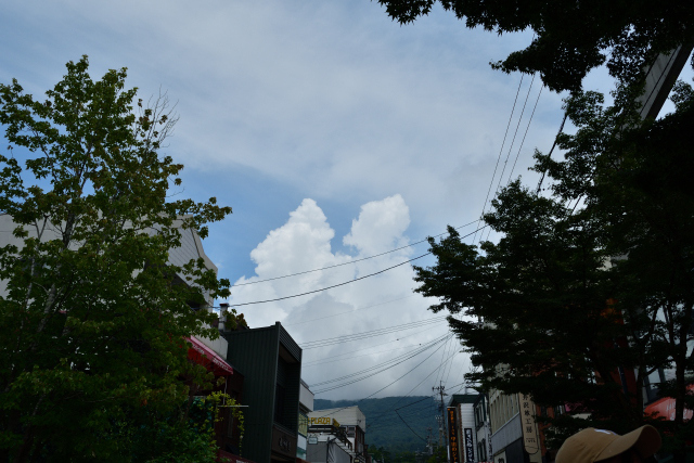 DSC_9948_001.JPG
