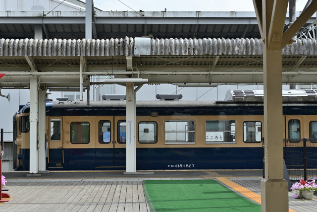 DSC_9980_001.JPG