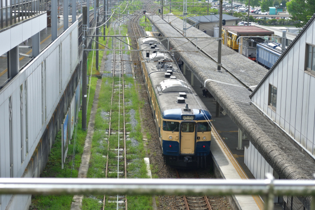 DSC_9982_001.JPG