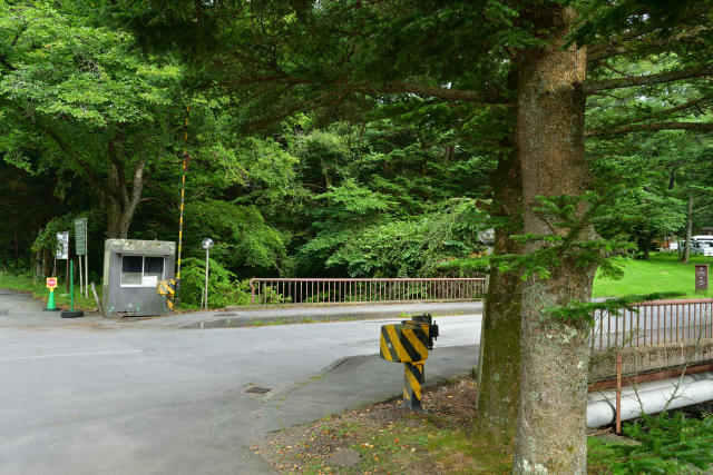 DSC_9983_001.JPG