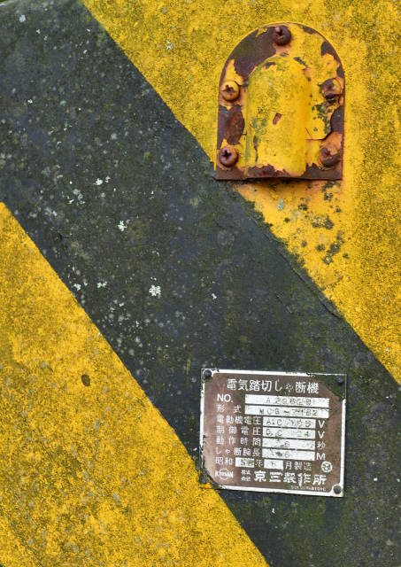 DSC_9985_001.JPG